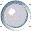 Currency Converter